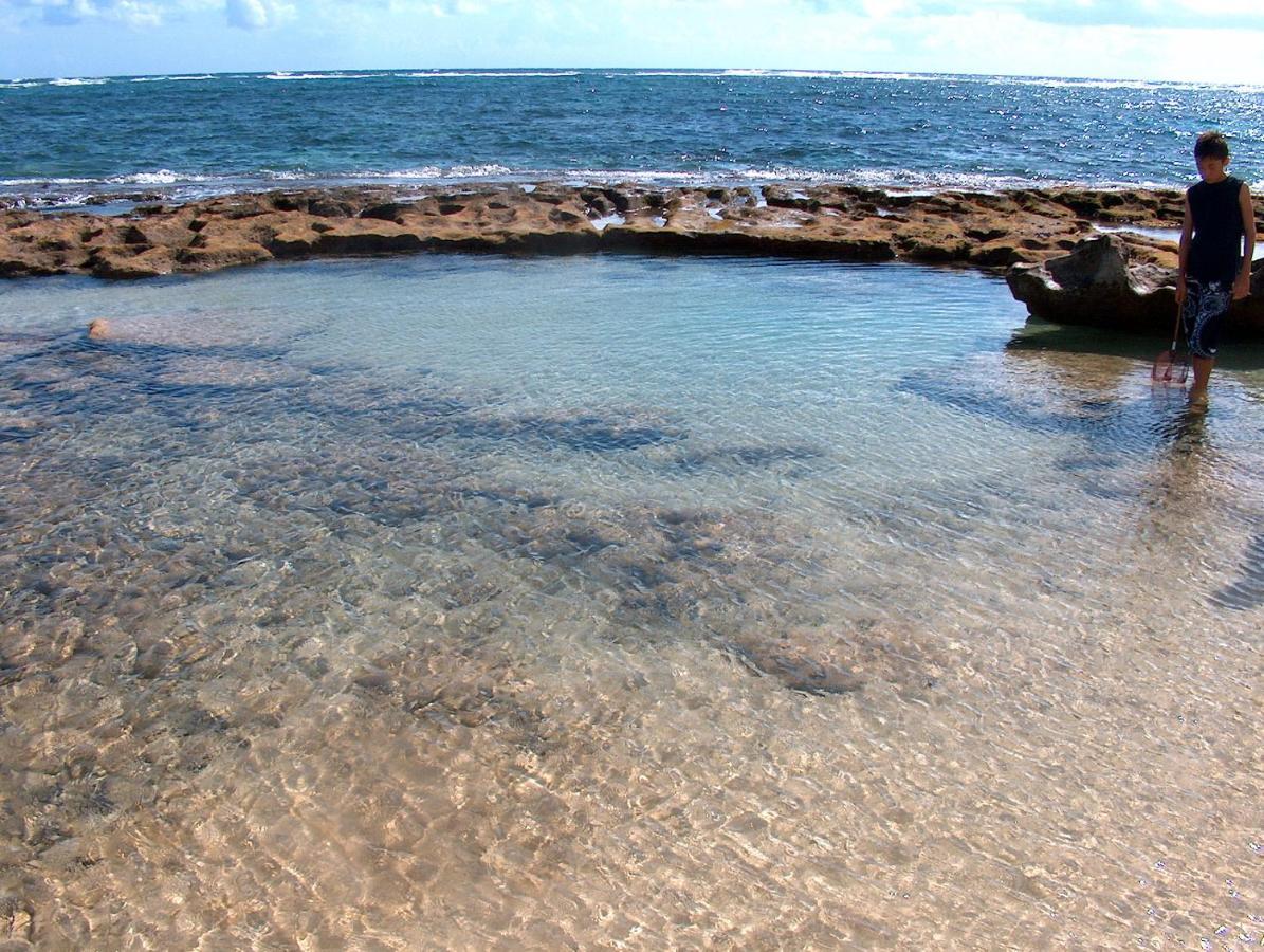 فيلا Itʻs All About The Beach Hau'ula المظهر الخارجي الصورة